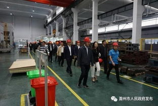 滁州市召开制造业发展大会